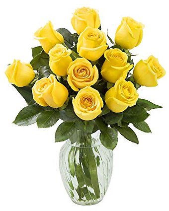 Rose Elegance 12 Premium Long Stem Yellow Roses