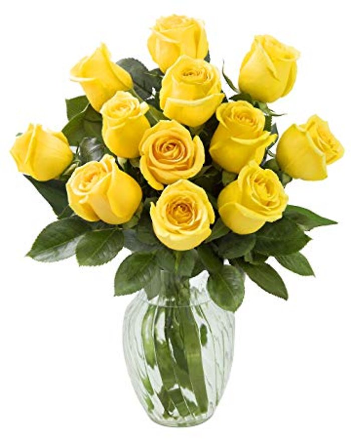 Rose Elegance 12 Premium Long Stem Yellow Roses
