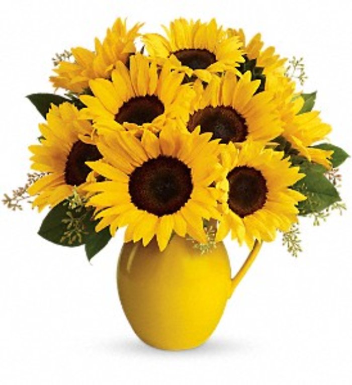 Sunny Day Pitcher of Sunflowers