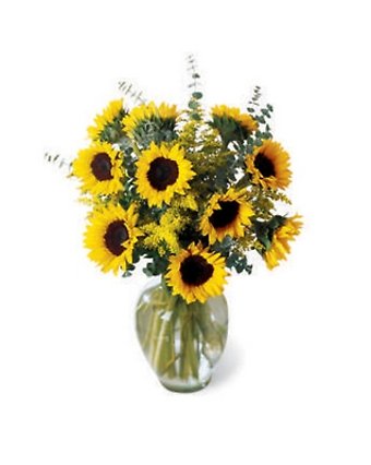Endless Sunflowers