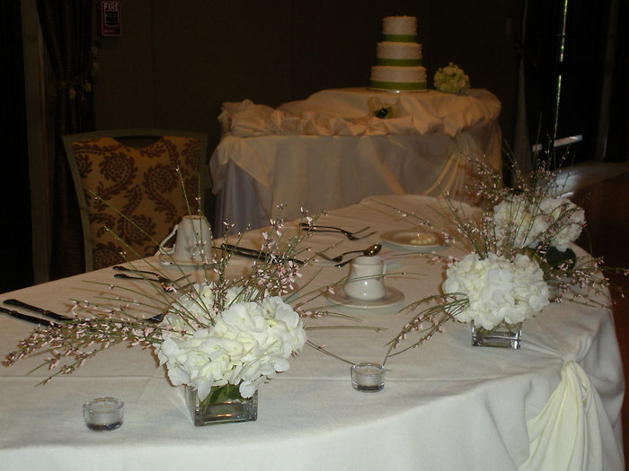 Pure White Hydrangea Cubes