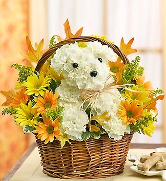 Fall Puppy in Basket