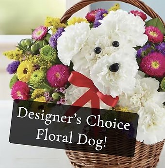 Designer\'s Choice Dog Bouquet