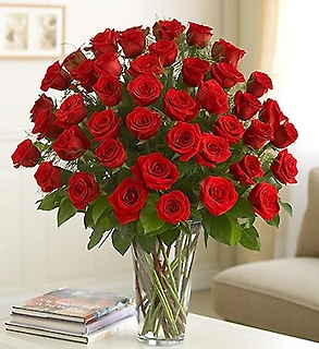 Ultimate Elegance 4 Dozen Premium Long Stem Red Roses