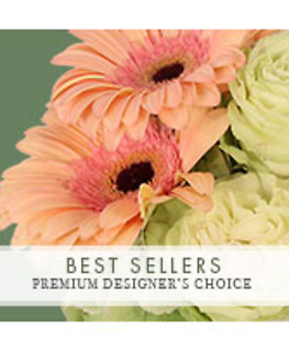 Designer\'s Choice Premium