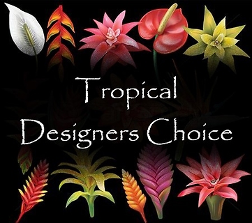 Tropical Arrangement Designers Choice