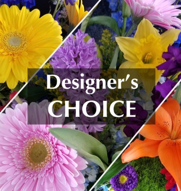 Designers Choice Arrangement