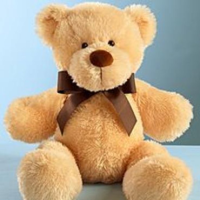 Teddy Bear Plush