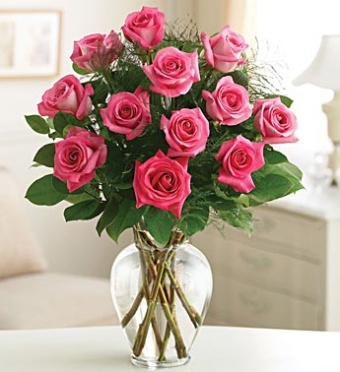 One Dozen Premium Long Stem Hot Pink Roses