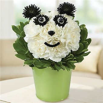 Perfect Panda