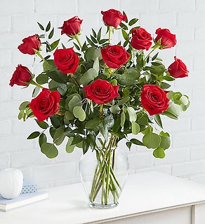Rose Elegance Premium Long Stem One Dozen Red Roses