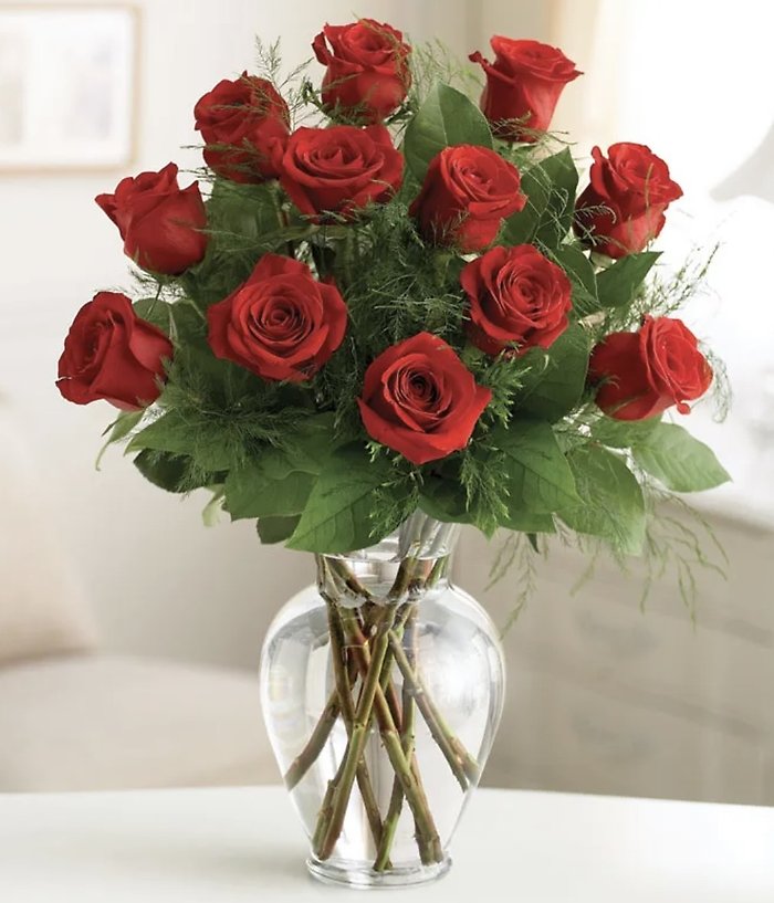 Rose Elegance Premium Long Stem One Dozen Red Roses