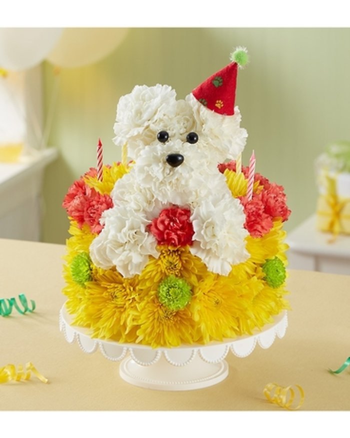 Poppin Pup Cake