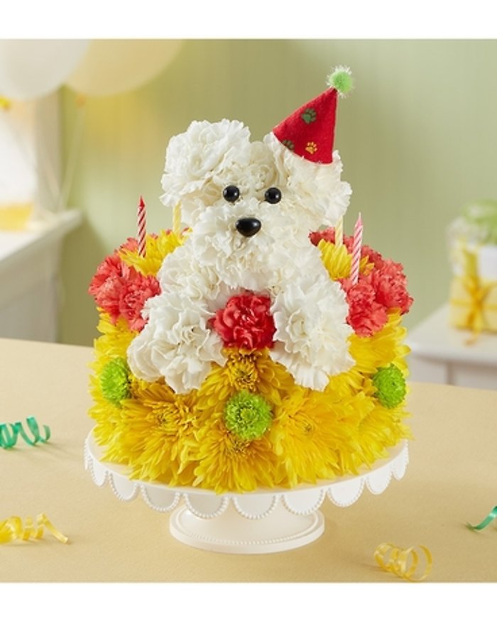 Poppin Pup Cake