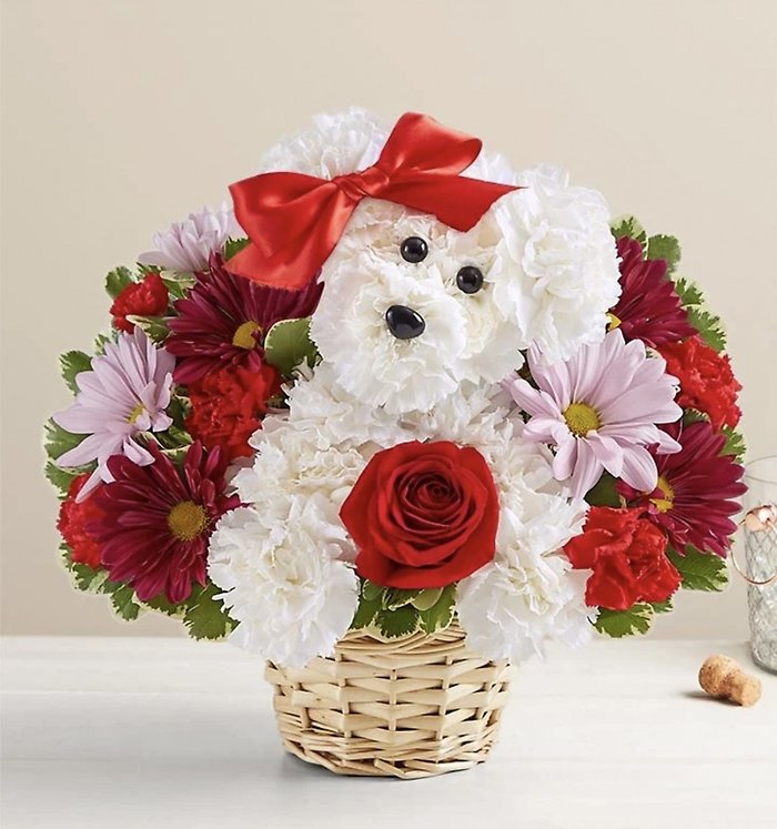 Loving Pup