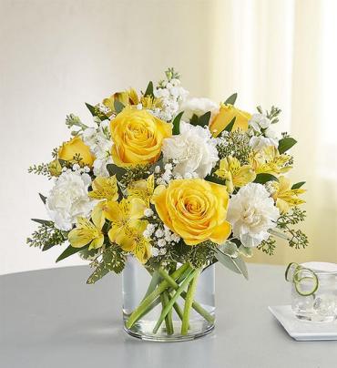 Yellow and white delight