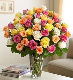 Ultimate Elegance 4 Dozen Premium Long Stem Assorted Roses
