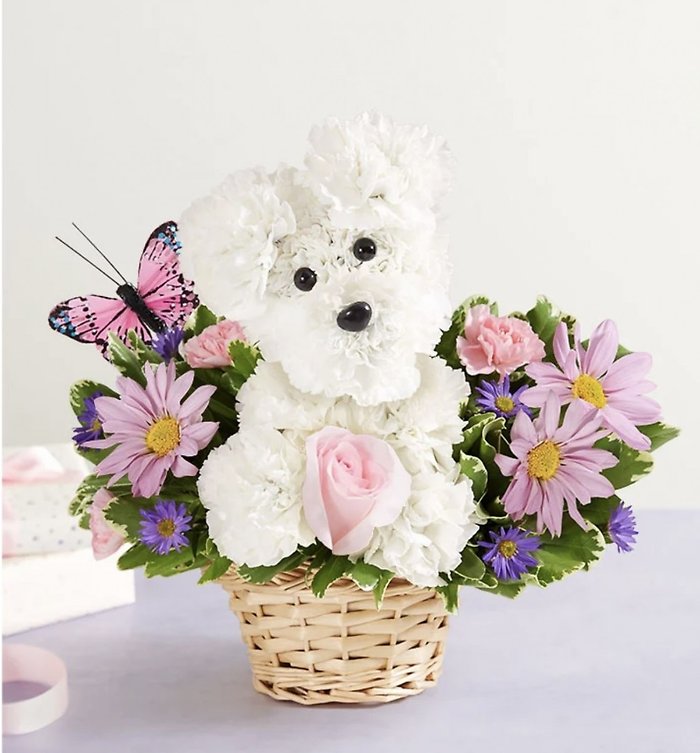 Mom\'s Best Friend