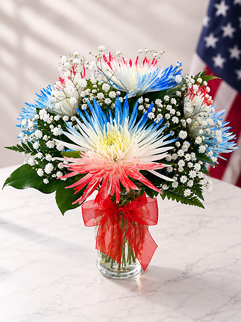 Star Spangled Spider Mums
