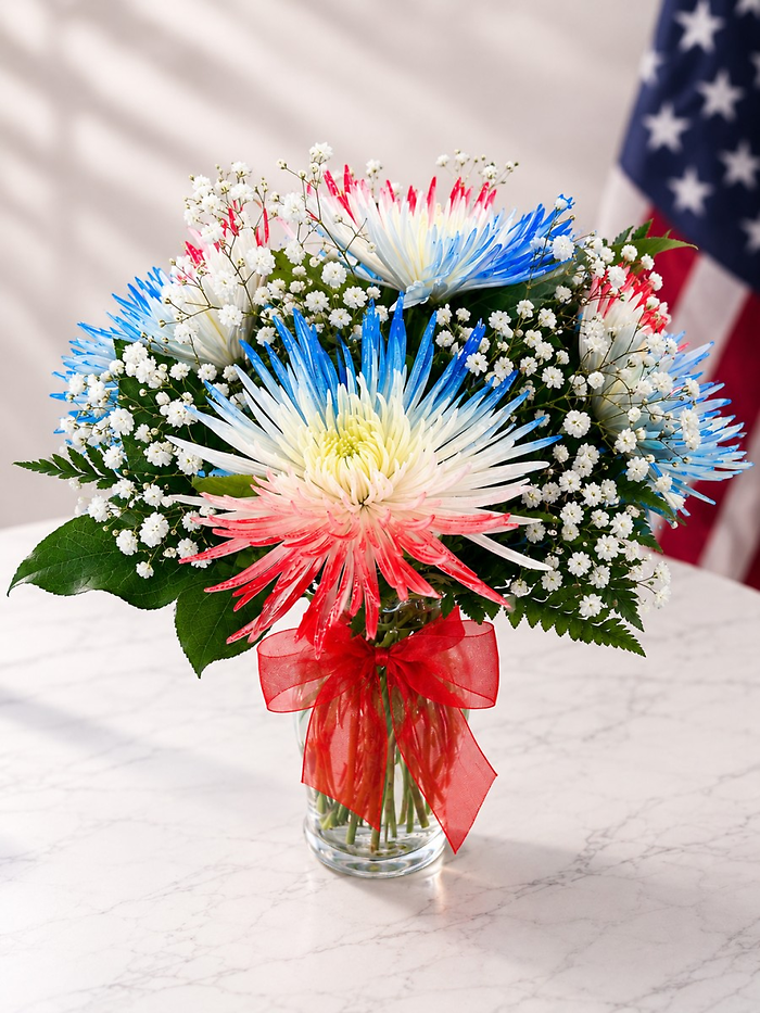 Star Spangled Spider Mums