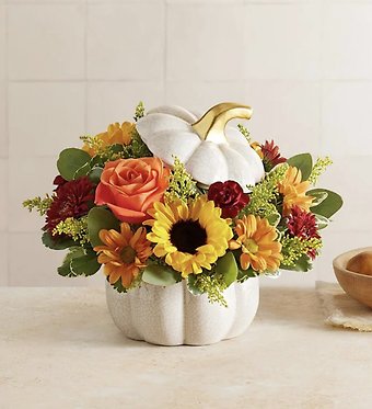 Autumn White Pumpkin