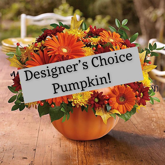 Designer\'s Choice Pumpkin Bouquet