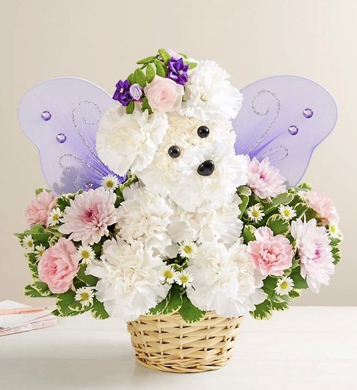 Twinkling Fairy Pup