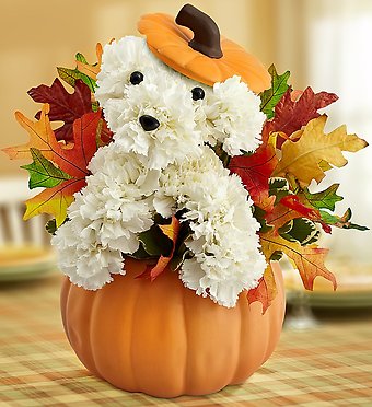 Thanksgiving Arrangements