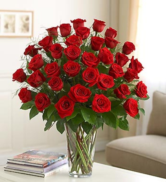 3 Dozen Premium Long Stem Red Roses