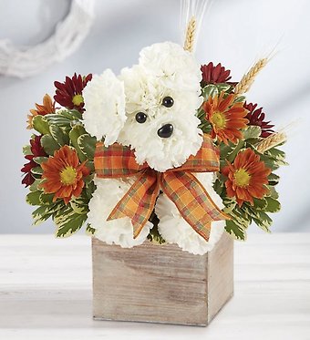 Rustic Fall Doggie