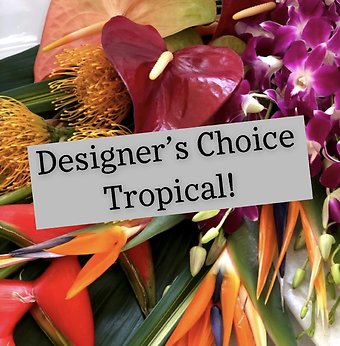 Tropical Arrangement Designers Choice