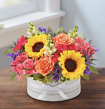 Beautiful Blooms