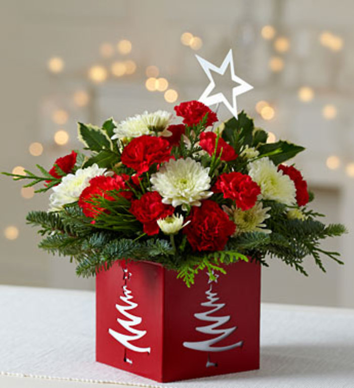 Holiday Star