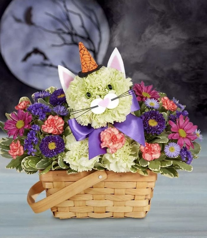 Purrfect Potions Feline