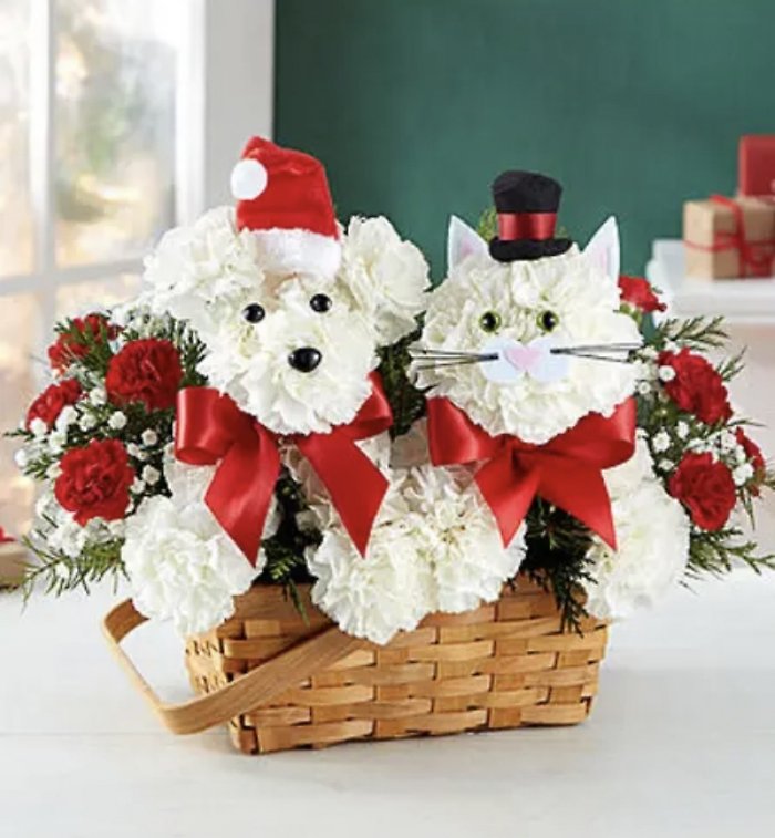 Playful Paws for Christmas