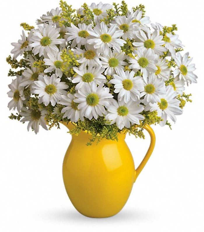 Sunny Day Pitcher of Daisies