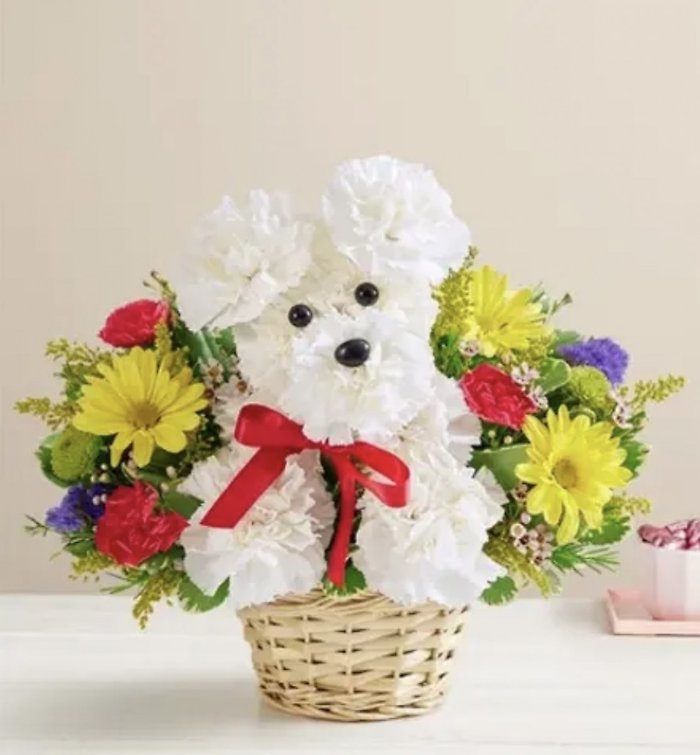 Happy pup in a basket
