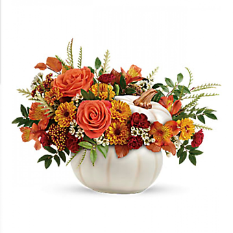 Enchanted Harvest Pumpkin