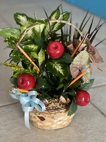 Back to School Dishgarden