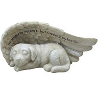 Blushing Meadow Delight