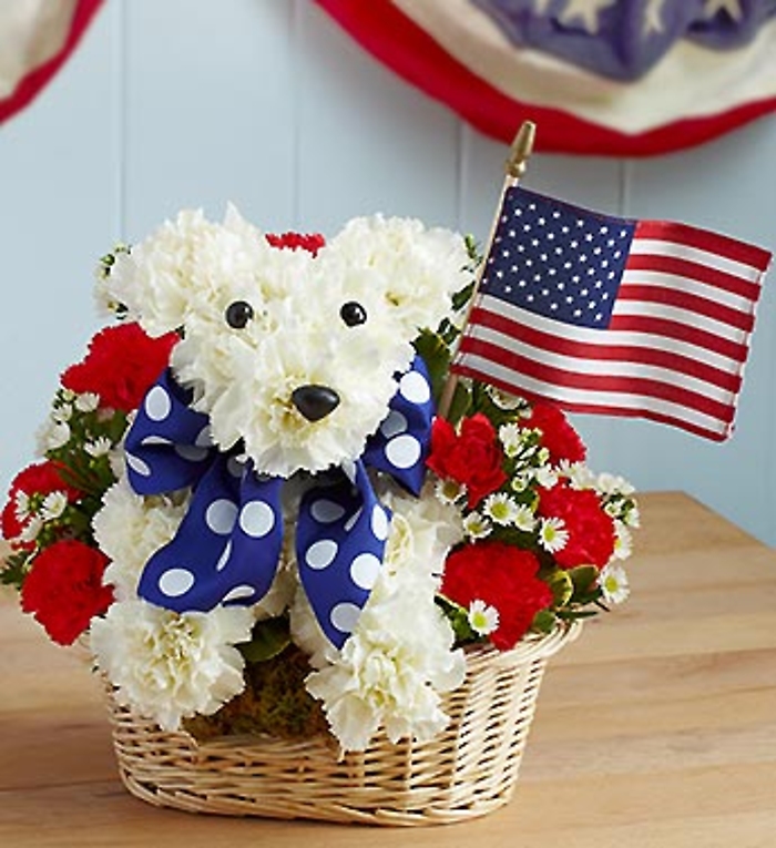 Yankee Doodle Doggie?