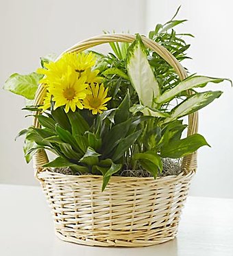 Basket Garden with Fresh Cut Flowers
