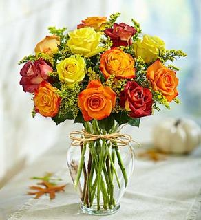 Shades of Autumn Roses